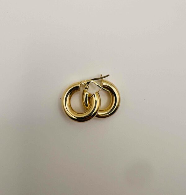 Smooth rings 14k